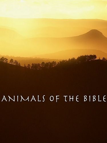 Библейские животные / Animals of the Bible (2022) HDTVRip 720p | P1