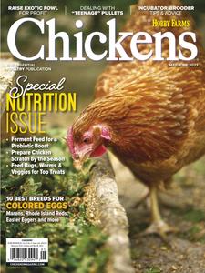 Chickens - May-June 2023