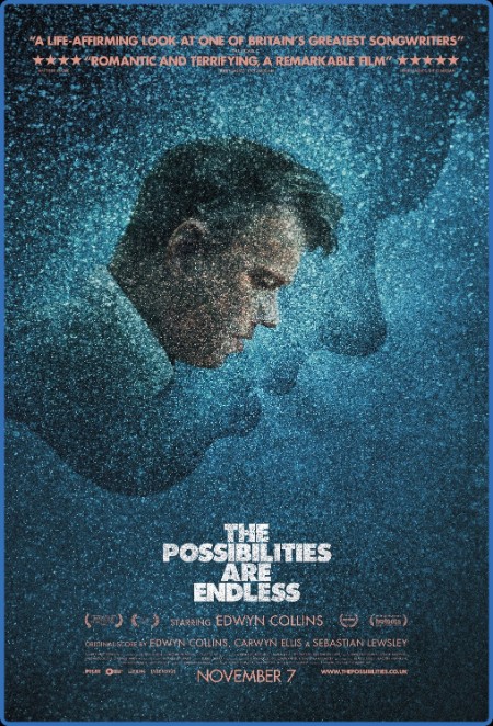 The Possibilities Are Endless (2014) 720p WEBRip x264 AAC-YTS