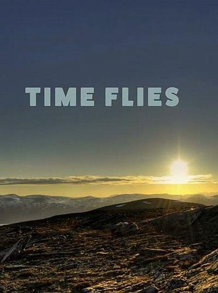 Течение времени / Time Flies (2020) HDTVRip