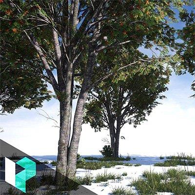 c3f506cdc29979cc614892534e6ece2f - Game-Ready Tree Creation from Maya to  Unreal