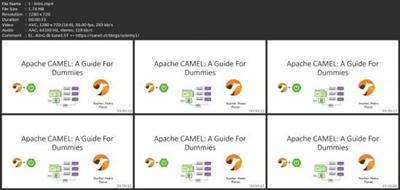 Apache Camel: A Guide For Dummies 57b0d63c346641f17371e503d1ef3bdc