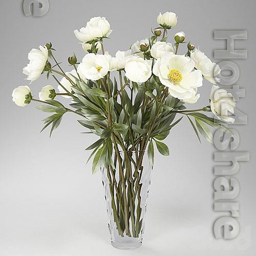 Bouquet of white peonies in a vase 3d model