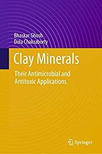Clay Minerals Their Antimicrobial and Antitoxic Applications