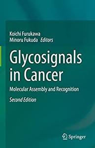 Glycosignals in Cancer Molecular Assembly and Recognition (2nd Edition)
