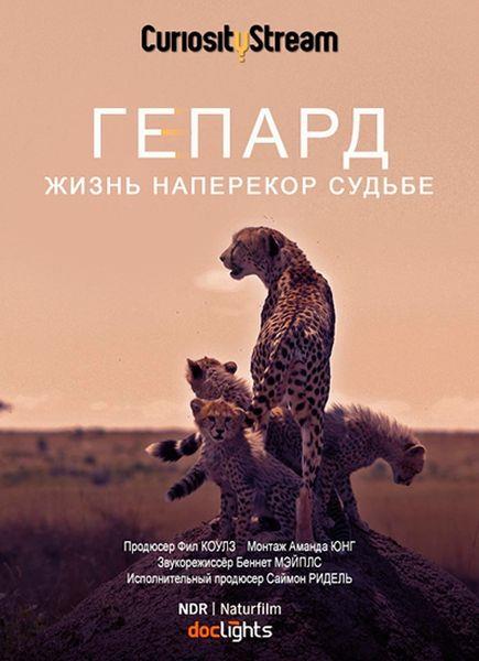Гепард: жизнь наперекор судьбе / Cheetah Beating the odds (2020) HDTVRip 720p