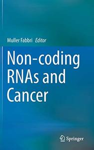 Non-coding RNAs and Cancer 