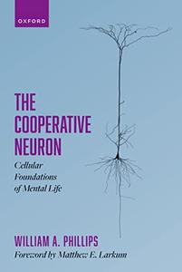 The Cooperative Neuron Cellular Foundations of Mental Life