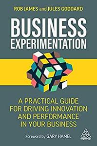 Business Experimentation A Practical Guide for Driving Innovation and Performance in Your Business