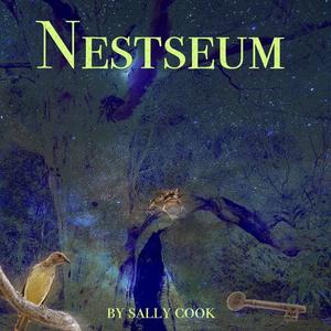Nestseum by Sally Cook