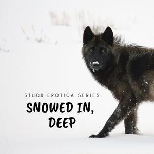 Snowed In, Deep by A.D. Renaline