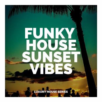 VA - Funky House Sunset Vibes (2023) MP3