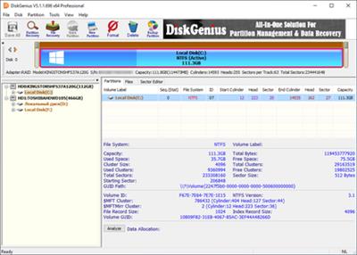 DiskGenius Professional 5.5.0.1488 Multilingual