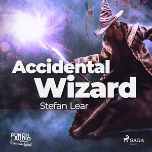 Accidental Wizard by Stefan Lear