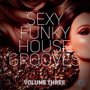 Sexy Funky House Grooves Volume Three (2023)