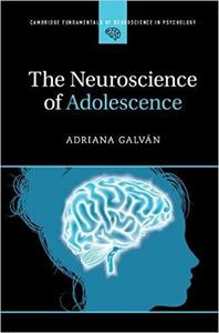 The Neuroscience of Adolescence