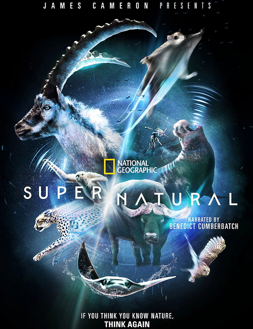 / | Super/Natural (1 /2022/WEB-DL/1080p/2160p)
