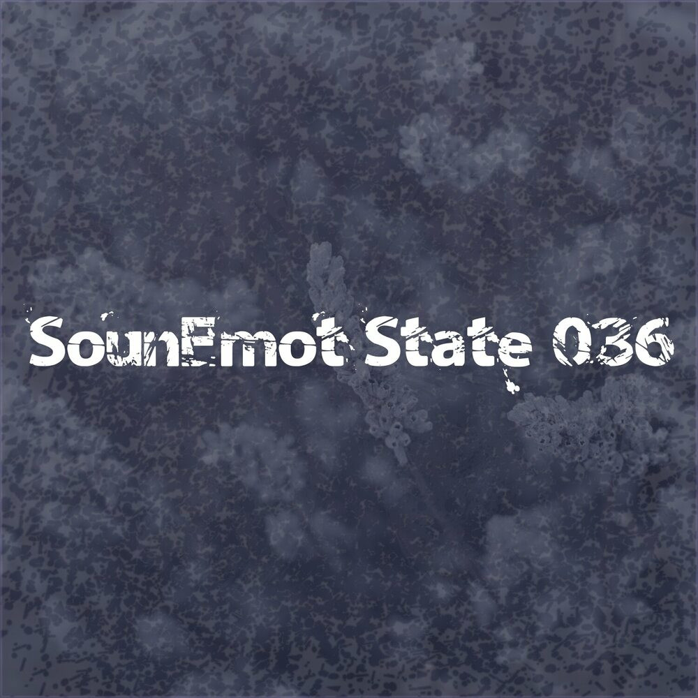 Sounemot State 036 (Guest Michele Cecchi) (2023)