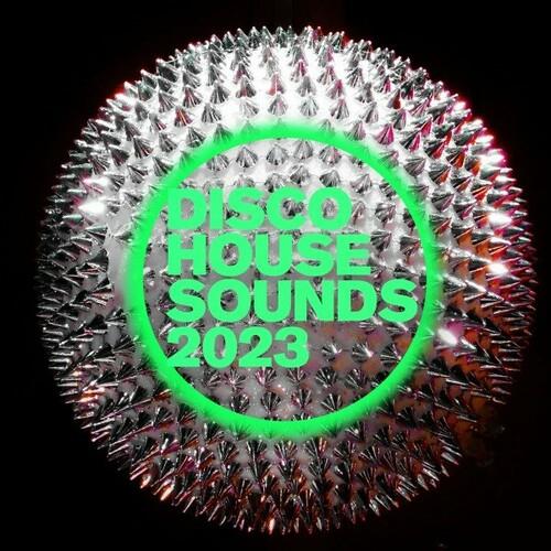Disco House Sounds 2023 (2023)