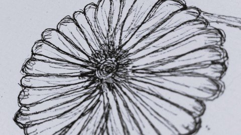 Mindful Drawing –  Free Download