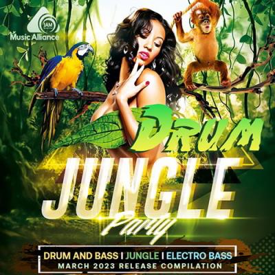 VA - Drum Jungle Party (2023) (MP3)