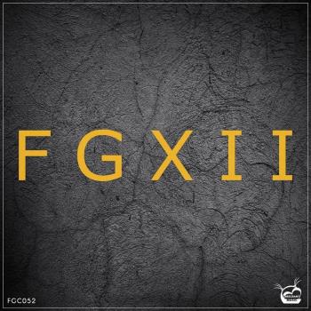 VA - FGXII (12th Years Anniversary) (2023) MP3