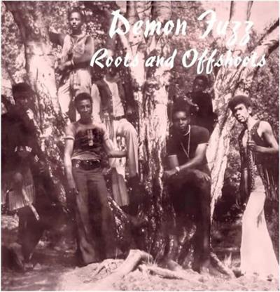 Demon Fuzz - Roots And Offshoots (Vinyl Reissue) (1976/2019)  [24bit/192kHz]