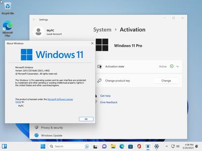 Windows 11 Pro 22H2 Build 22621.1485 (No TPM Required) Preactivated Multilingual (x64)