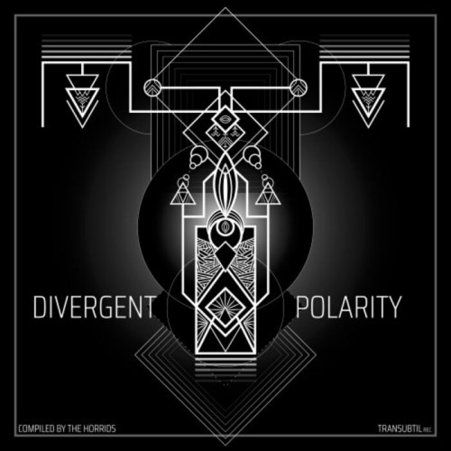VA - Divergent Polarity (2023)