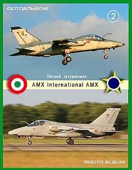 AMX International AMX (2 )