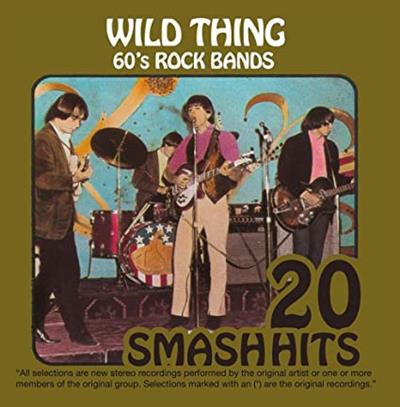 VA - 60's Rock Bands - Wild Thing  (2009)
