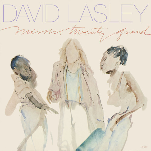 David Lasley - Missin' Twenty Grand 1982 (Vinil Rip)