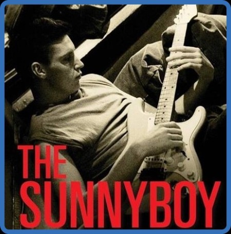 The Sunnyboy (2013) 720p WEBRip x264 AAC-YTS