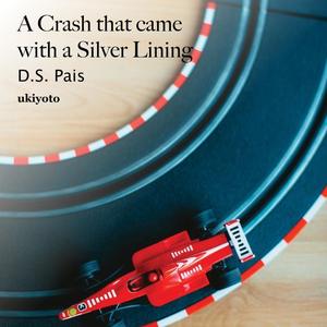 A Crash that came with a Silver Lining by D.S. Pais