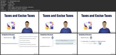 Excise Taxes Essentials: A Comprehensive  Overview 068a206c90ddd9ea1ae6bd79f7ad0970