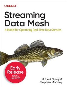 Streaming Data Mesh (8th Early Release)