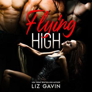 Flying High by Liz Gavin