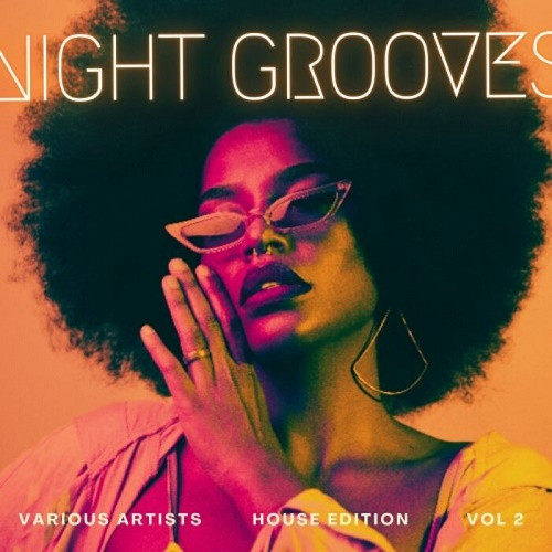 Night Grooves (House Edition) Vol.2 (2023)