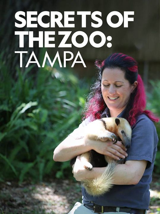 Sekrety zoo: Tampa / Secrets of the Zoo: Tampa (2022) [SEZON 4] PL.1080i.HDTV.H264-B89 | POLSKI LEKTOR