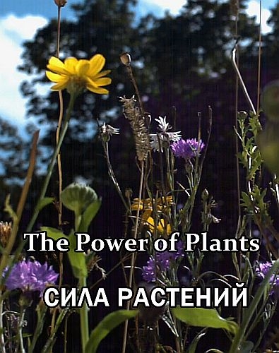 Сила растений / The Power of Plants [01-02 из 02] (2021) HDTV 1080i | P1