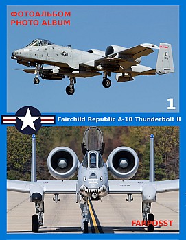 Fairchild Republic A-10 Thunderbolt II (1 )