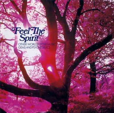 VA - Feel The Spirit (Other Worldly Folk Music Gems And Psychedelics)  (2006)
