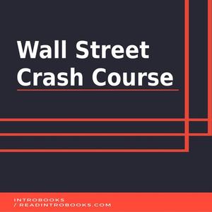 Wall Street Crash Course by Introbooks Team