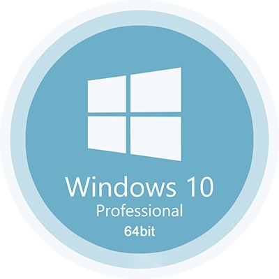 Windows 10 Pro 22H2