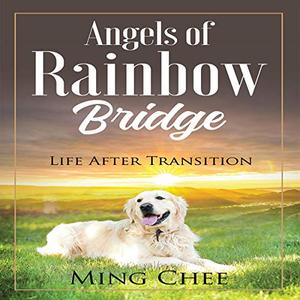 Angels of Rainbow Bridge Life After Transition [Audiobook]