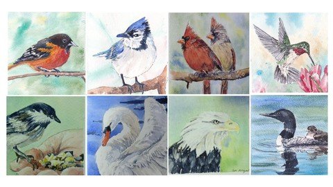 Painting Birds In Watercolour 2023 –  Download Free