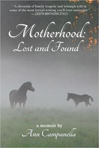 Motherhood Lost and Found A memoir
