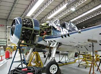 Grumman F6F-3 'Hellcat' Walk Around