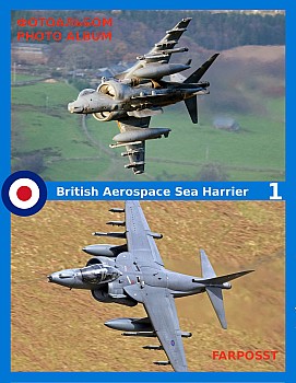 British Aerospace Sea Harrier (1 )