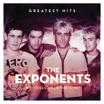 The Exponents - Why Does Love Do This To Me The Exponents Greatest Hits  (2013)